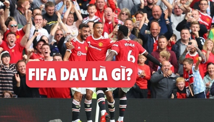 fifa day là gì