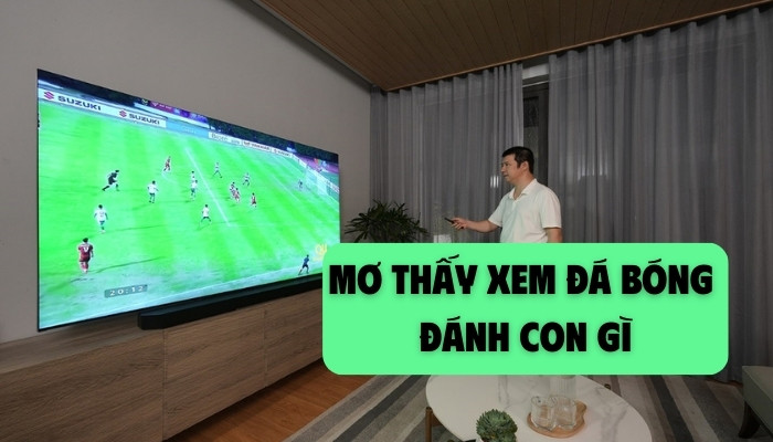 mơ thấy xem đá bóng đánh con gì